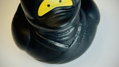 Ninja duck image