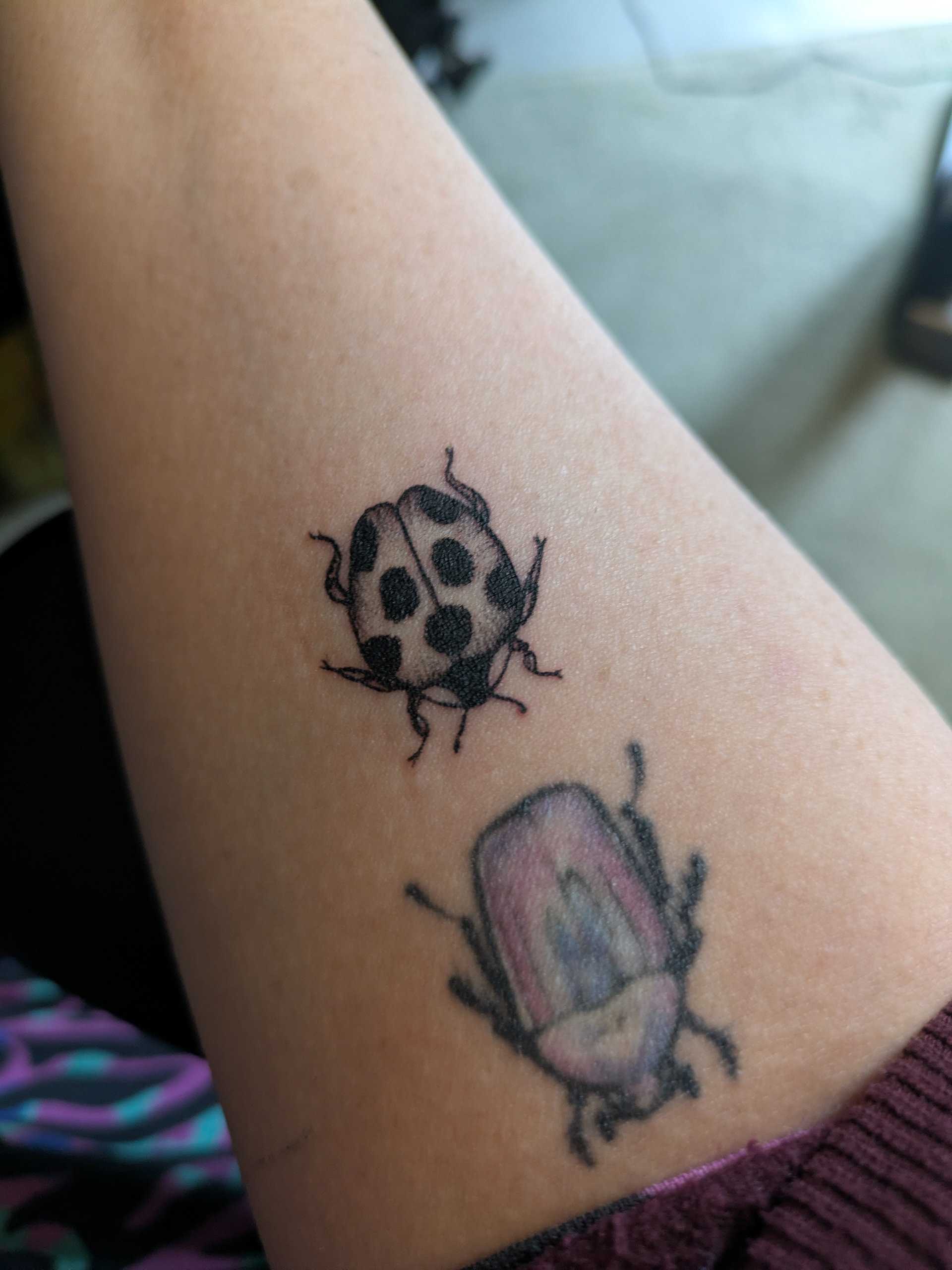Picture of a right arm with a fresh new black lined ladybird tattoo. Above this is an older purple bug tattoo. image