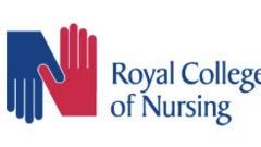 Test Team Lead image