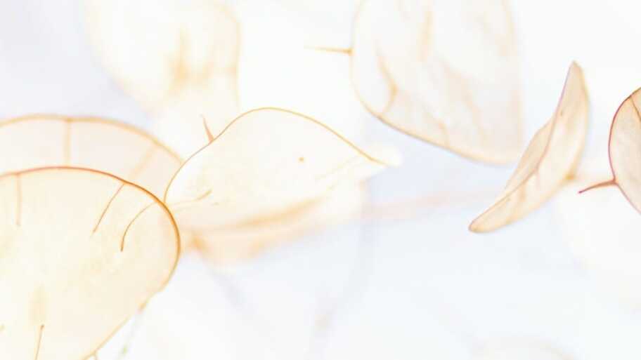 Ephemeral Tooling image