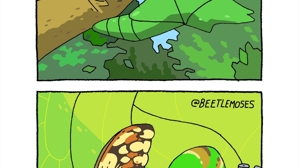 A two-panel comic by @beetlemoses.

The top panel shows a green chrysalis hanging from a tree branch in a forest.
... image