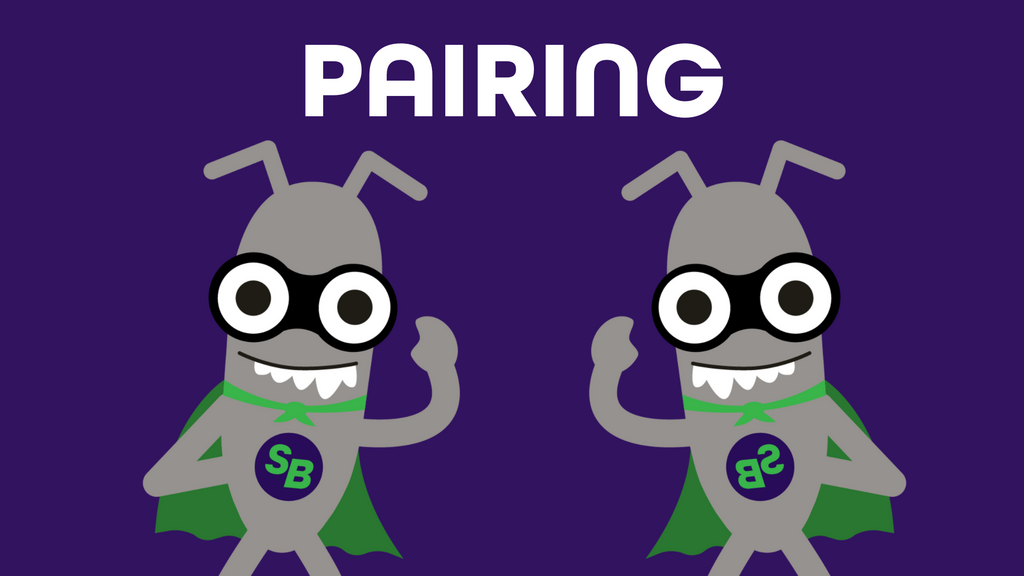 Pairing image
