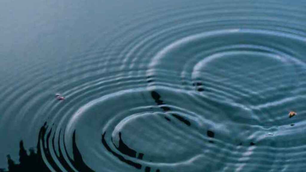 Making connections – the rain drop model image