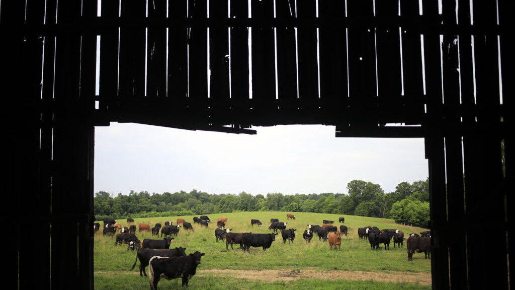 Data center builders thought farmers would willingly sell land, learn otherwise image