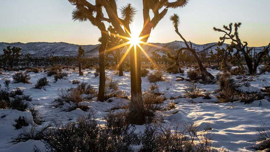 A List of Community of Practice New Year’s Resolutions image