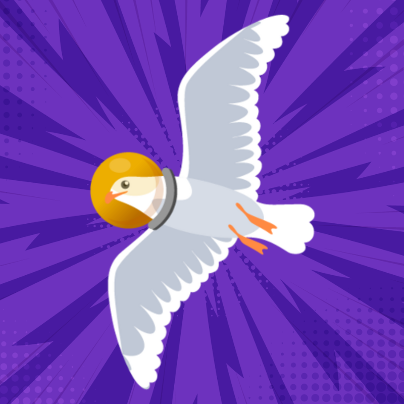 Space Seagull's profile