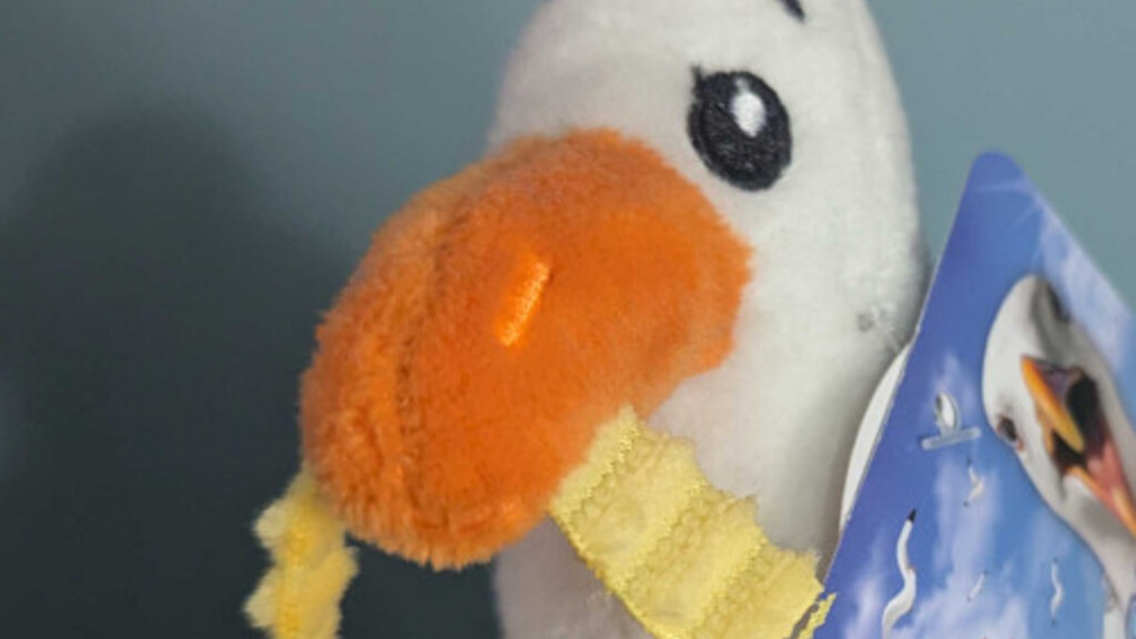 chips the seagull image