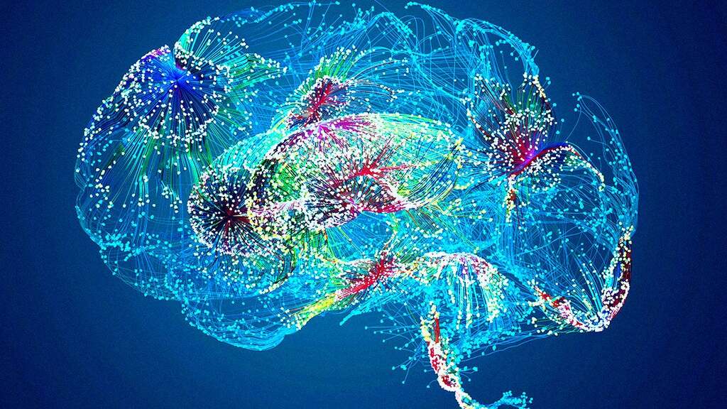 Doctors Horrified After Google's Healthcare AI Makes Up a Body Part That Does Not Exist in Humans image