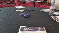 The bug world cup image