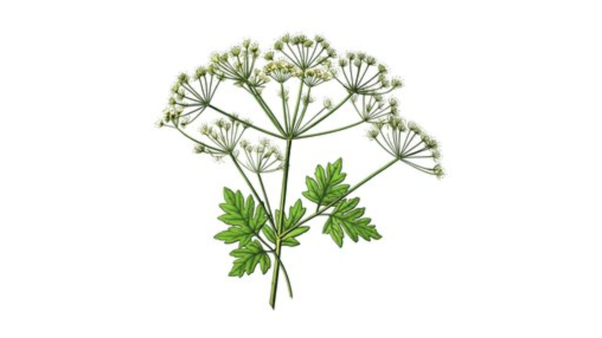 About MCP Server for Web Accessibility Testing image