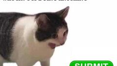 What happens when I press this submit button? image