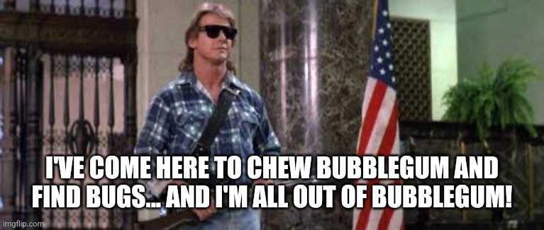 A person wearing sunglasses and a plaid shirt stands holding a weapon inside a building with columns and an American flag. The text overlay reads, "I'VE COME HERE TO CHEW BUBBLEGUM AND FIND BUGS... AND I'M ALL OUT OF BUBBLEGUM!.