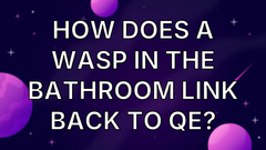 How does a wasp in the bathroom link back to QE? image