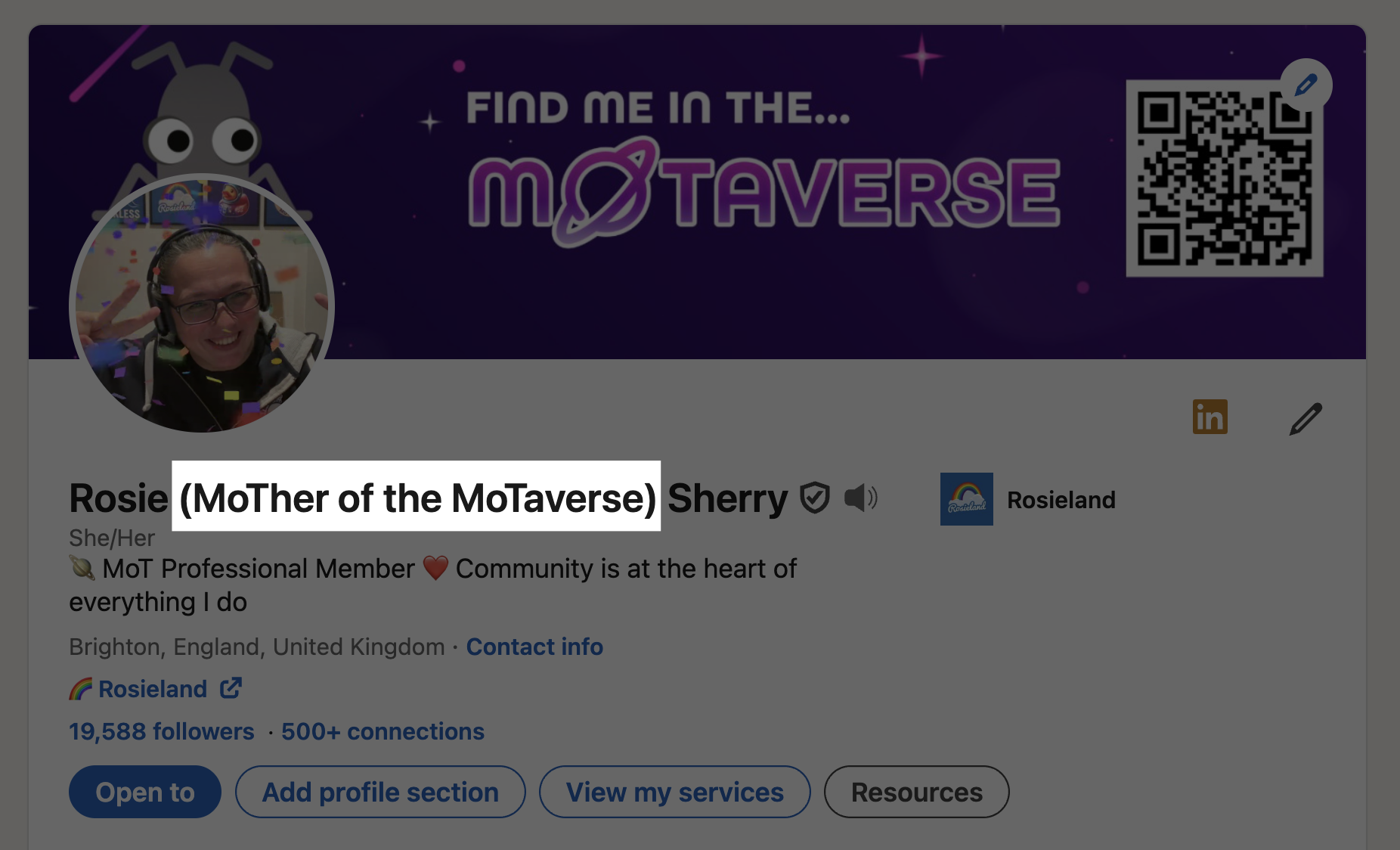 A screenshot of my LinkedIn profile that highlights my other name as "MoTher of the MoTaverse"