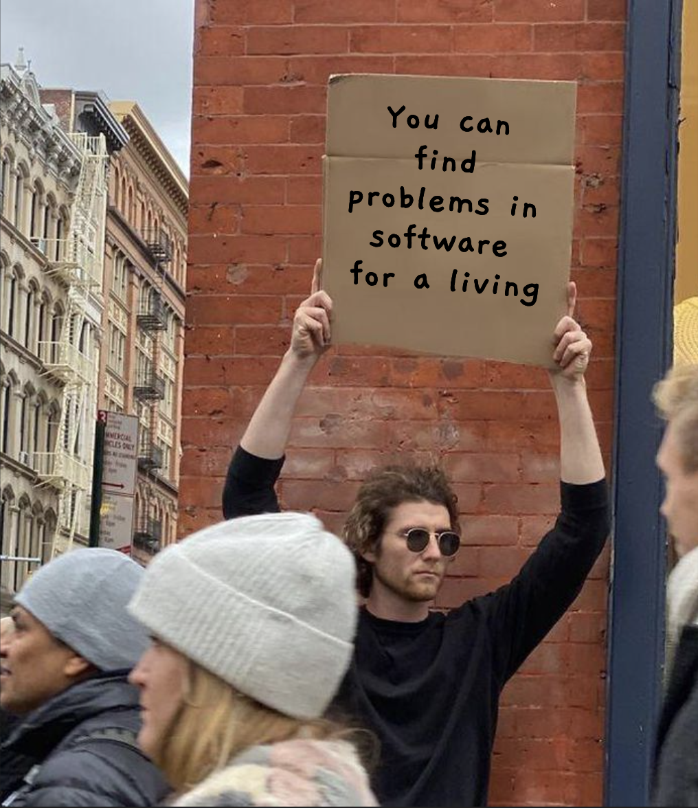 A man on a busy street holding up a sign saying "You can find problems in software for a living"