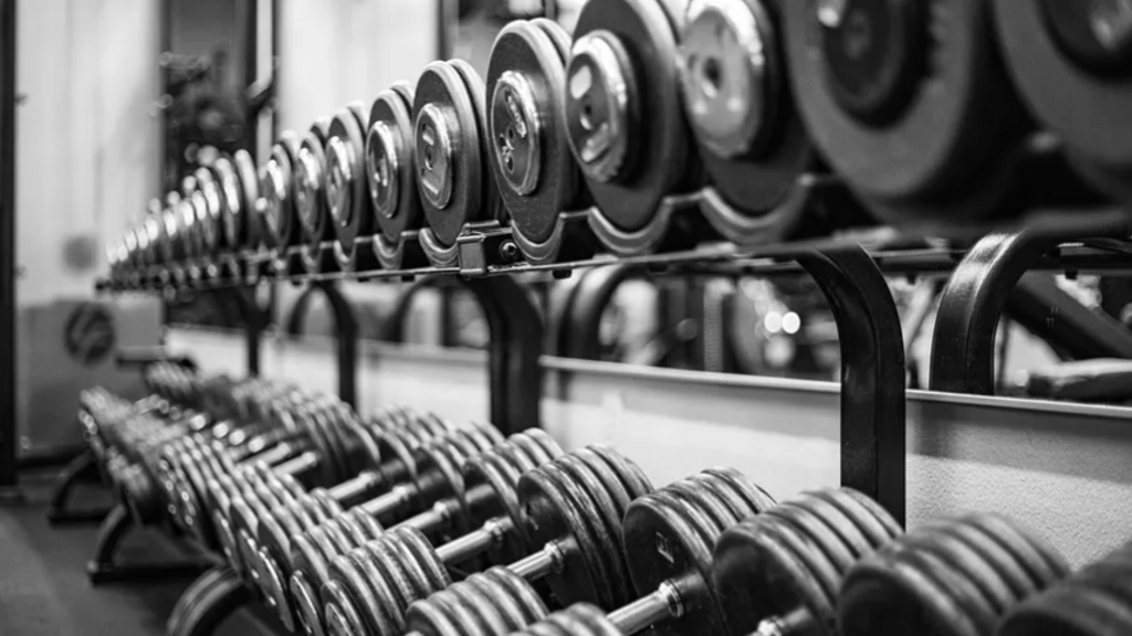 From Bodybuilding to Systemic Quality: Why My Life Squiggle Made Me A Better Quality Professional image