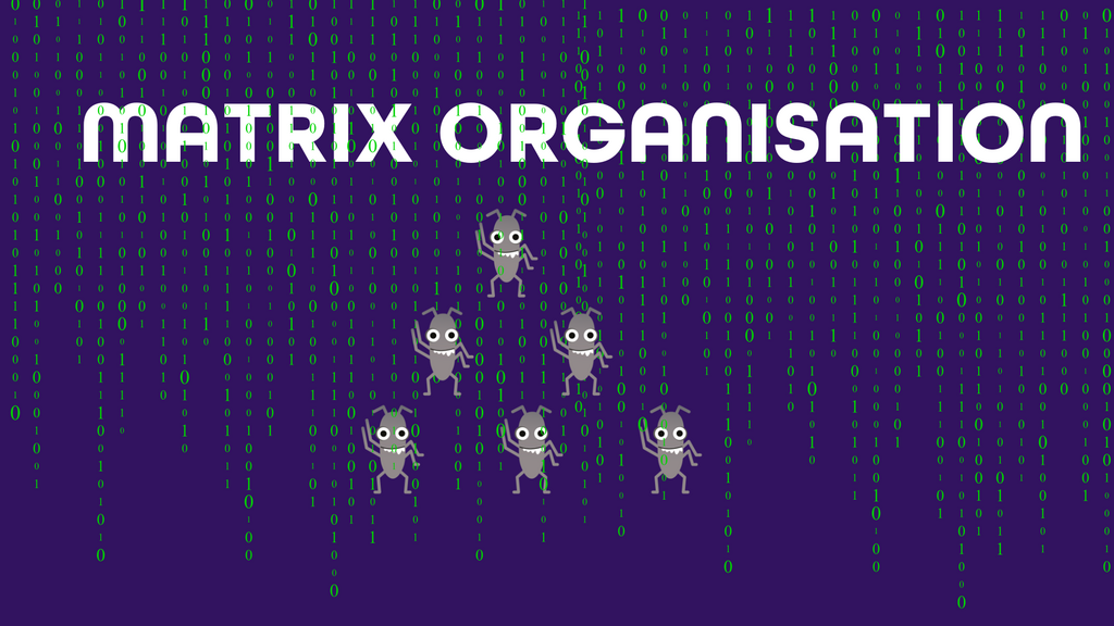 Matrix organisation image