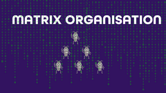 Matrix organisation image