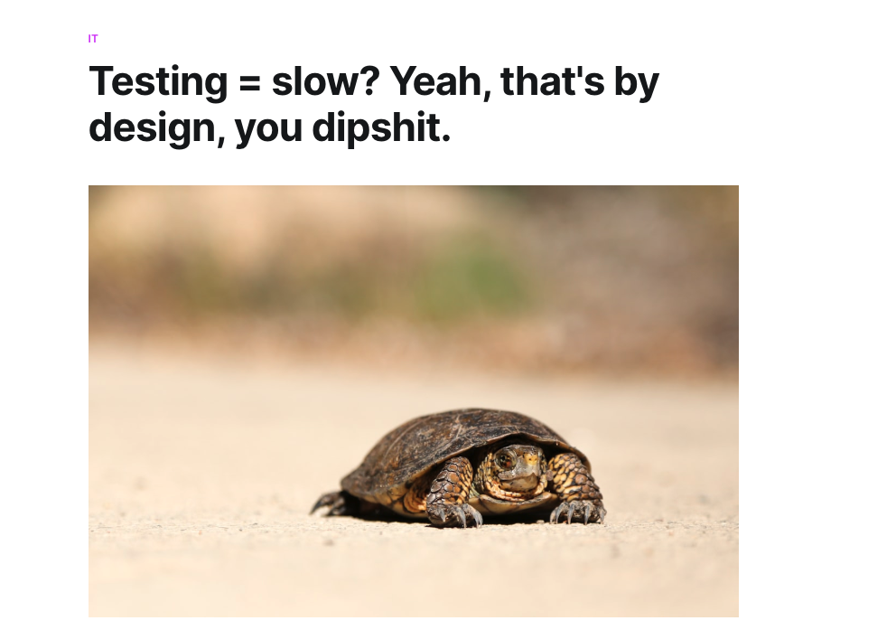 A turtle on a beach unimpressed with being called slow. He is a turtle he is doing his best testing work, dipsh*t image