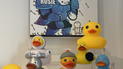 I started a duck collection image