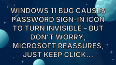 Windows 11 bug causes password sign-in icon to turn invisible – but don't worry, Microsoft reassures, just keep click... image