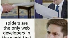 Spiders are the onyl web developers in the world who love finding bugs image