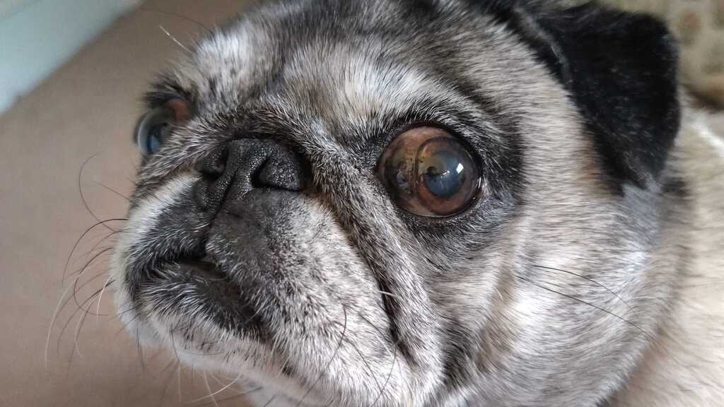 Princess - Guardian of the MoTaverse image