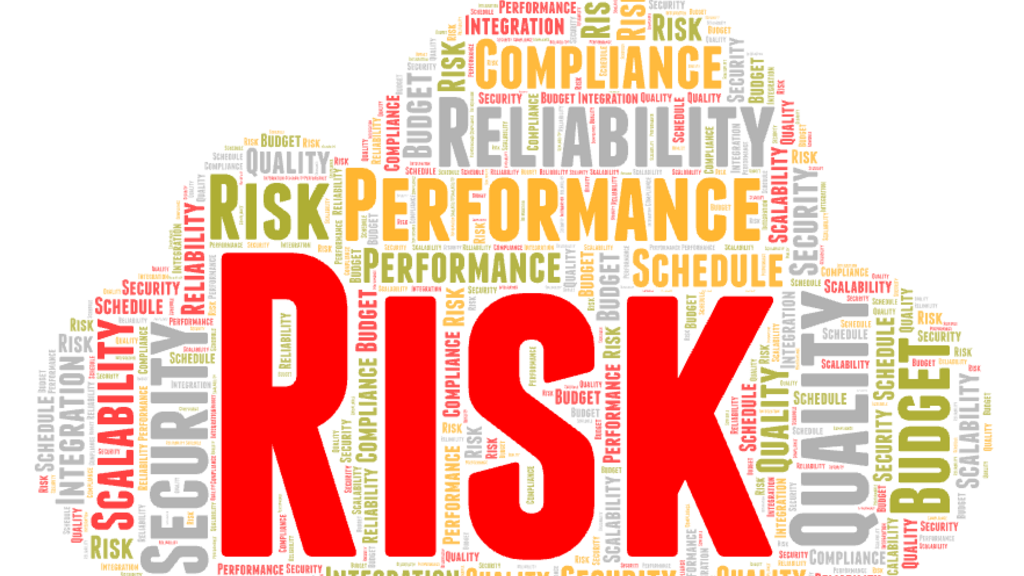 Risk: The Universal Language of Business (And How to Speak It) image image