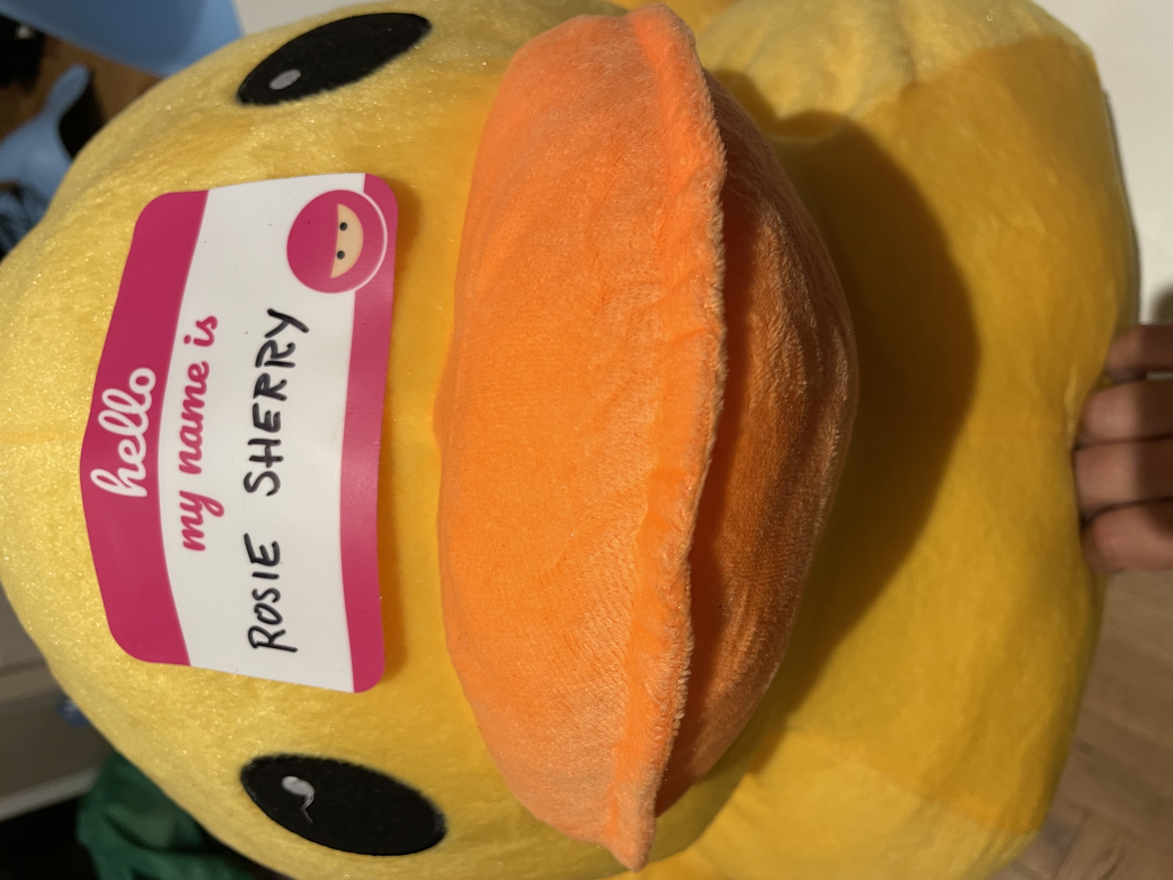 A photo of a very big yellow plushie duck with a name tag that says "My name is Rosie Sherry".