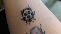 10 years Bug Hunting image