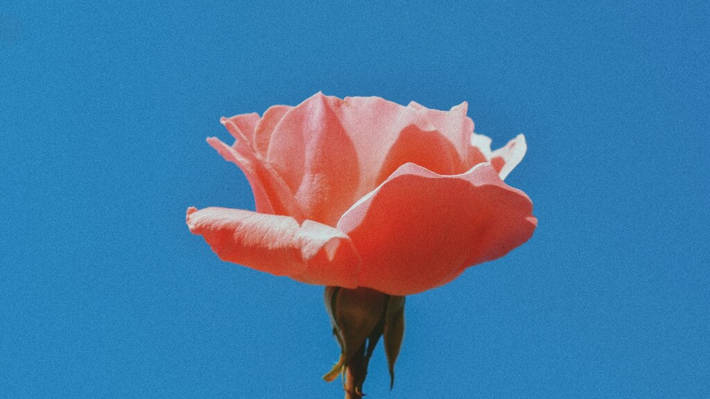 AI is changing the style and substance of human writing, study finds image