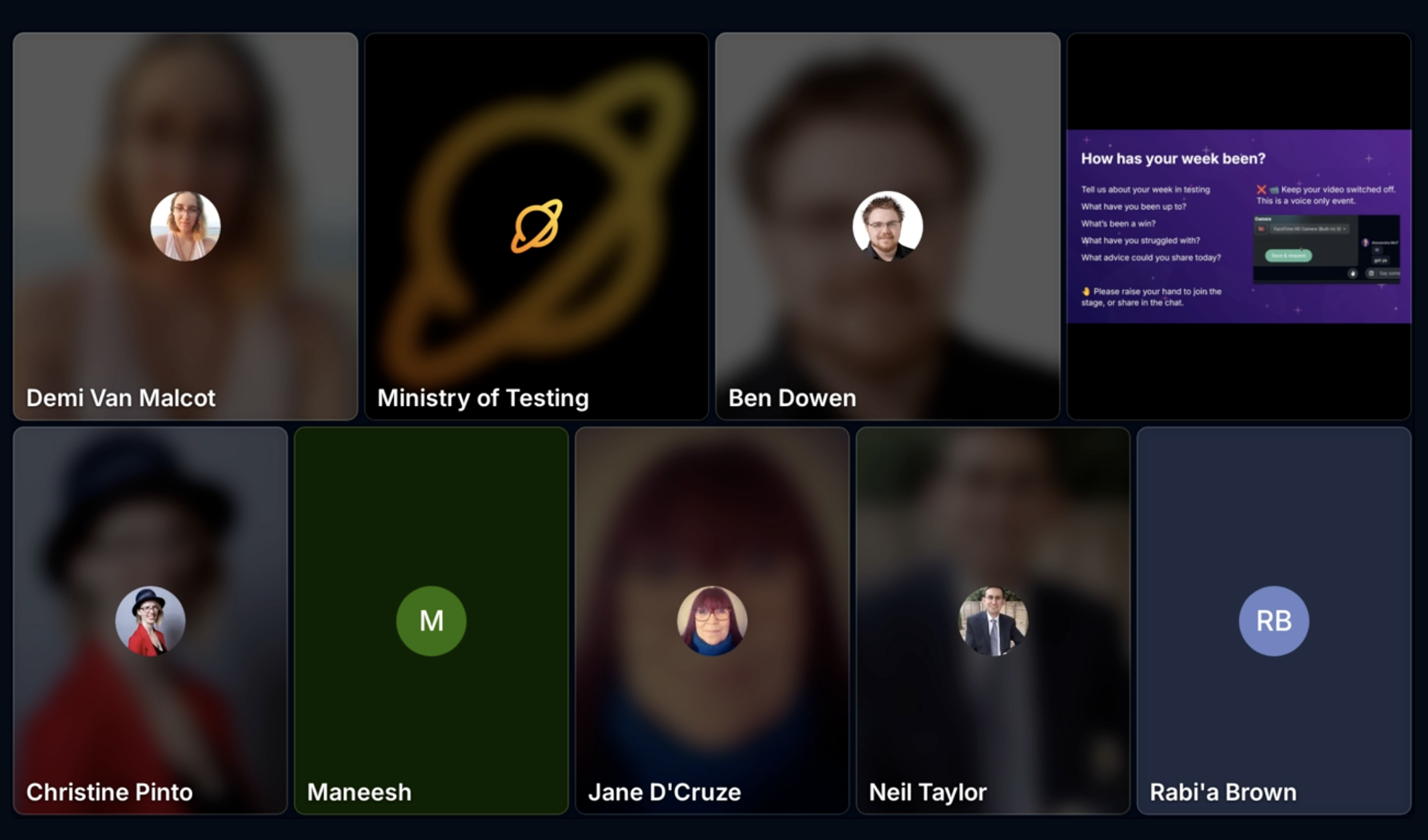 A screengrab of an online webinar space. There is a grid of profile pictures and a chat box on the right hand side. 