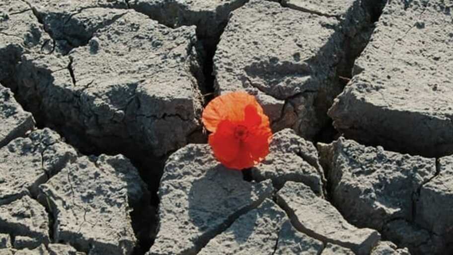 They will not break me  image