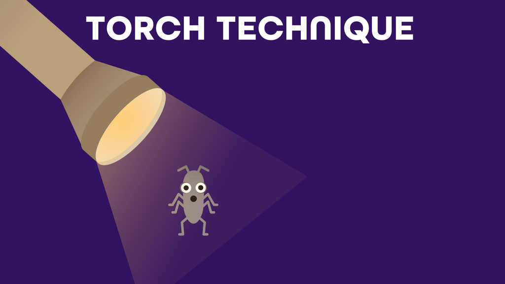 TORCH Technique image