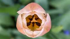 A coaching framework for testers image