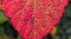 Using recognised techniques to create tests gives teams advantages image