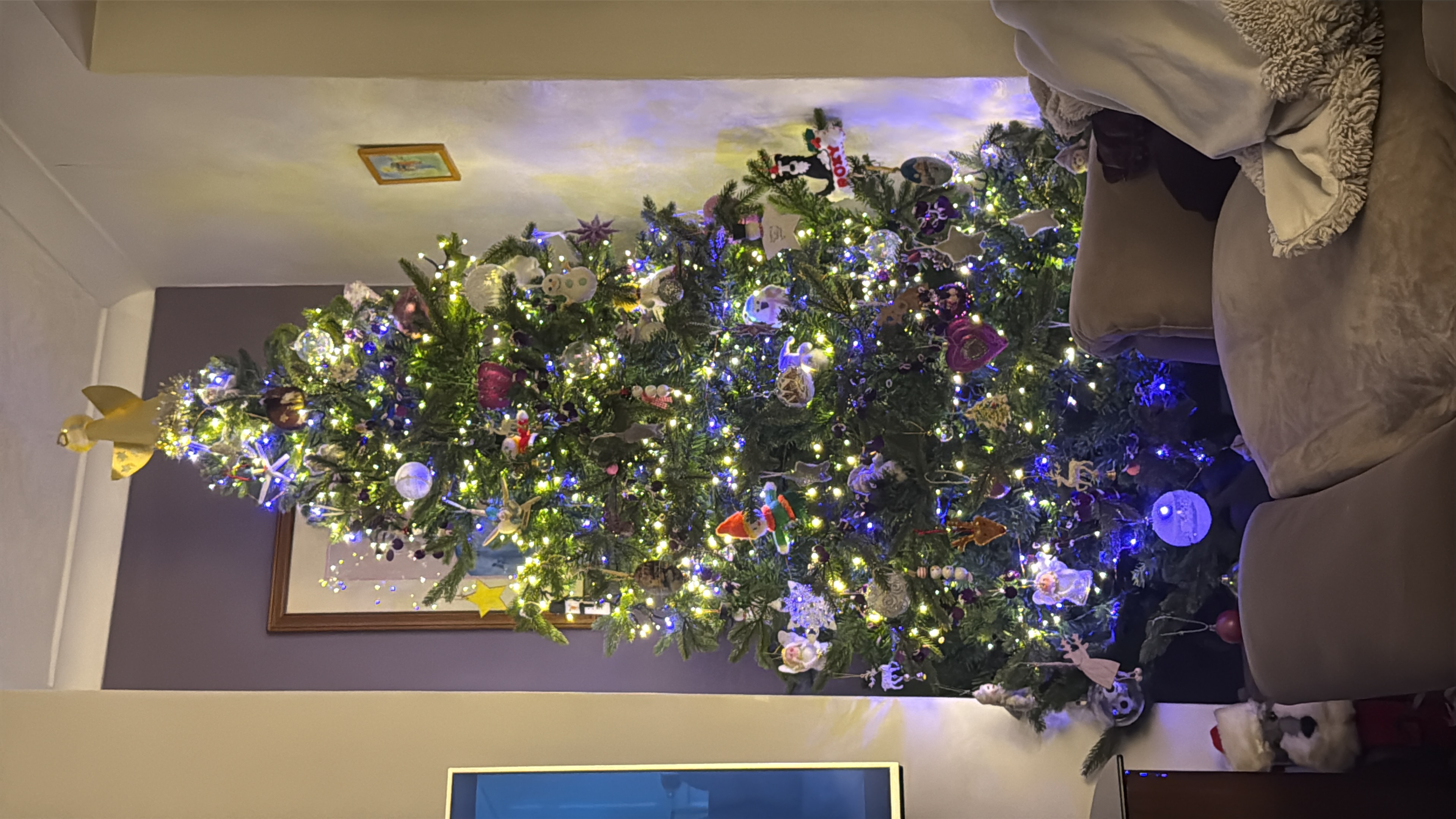 A brightly decorated Christmas tree with white and yellow lights. Star, animal, and memory baubles are evenly spread. It sits in the corner of the room and has a home made angel that nearly reaches the ceiling. 