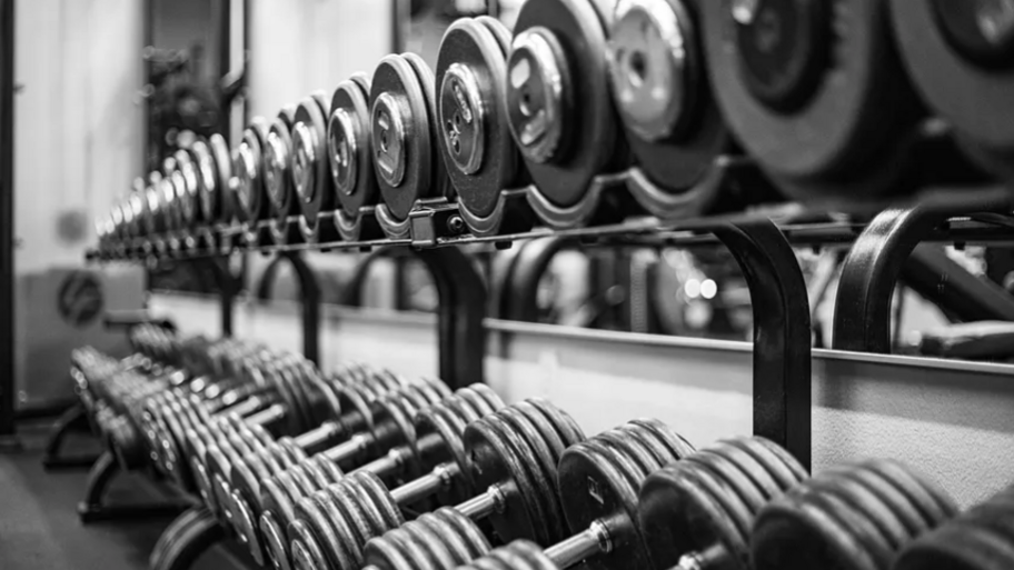 From Bodybuilding to Systemic Quality: Why My Life Squiggle Made Me A Better Quality Professional image