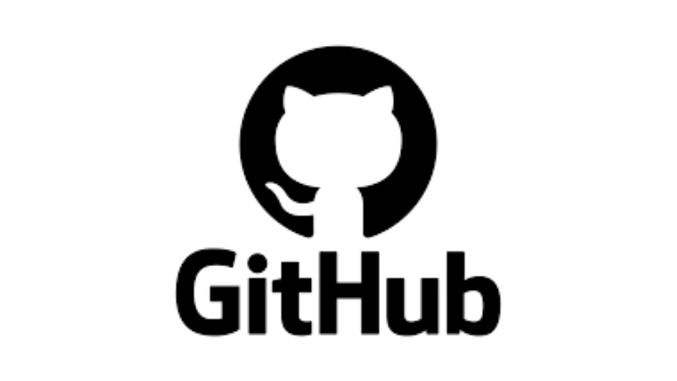 GitHub Issues image