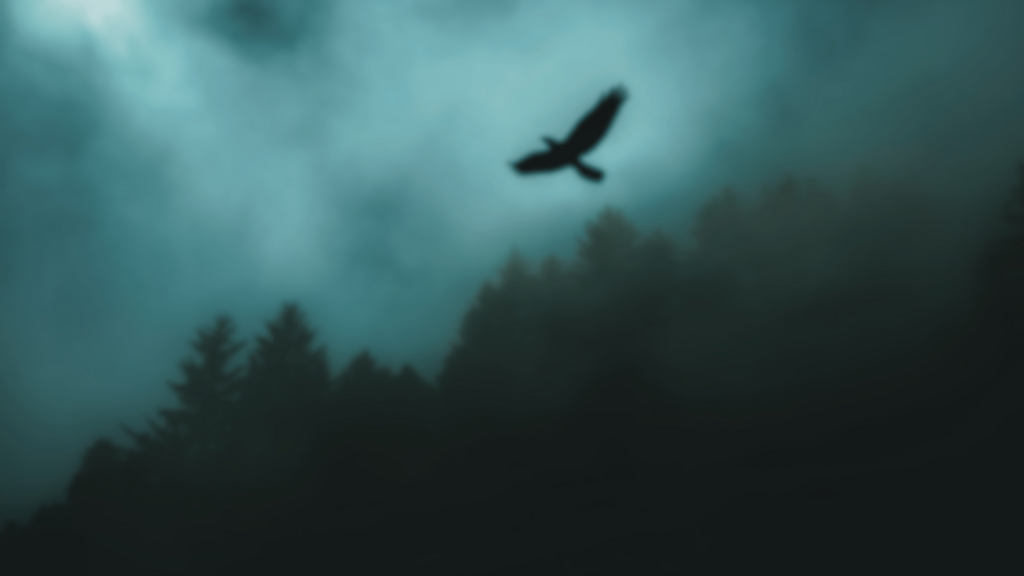 A tester exploring alternatives to Postman for automated API testing.