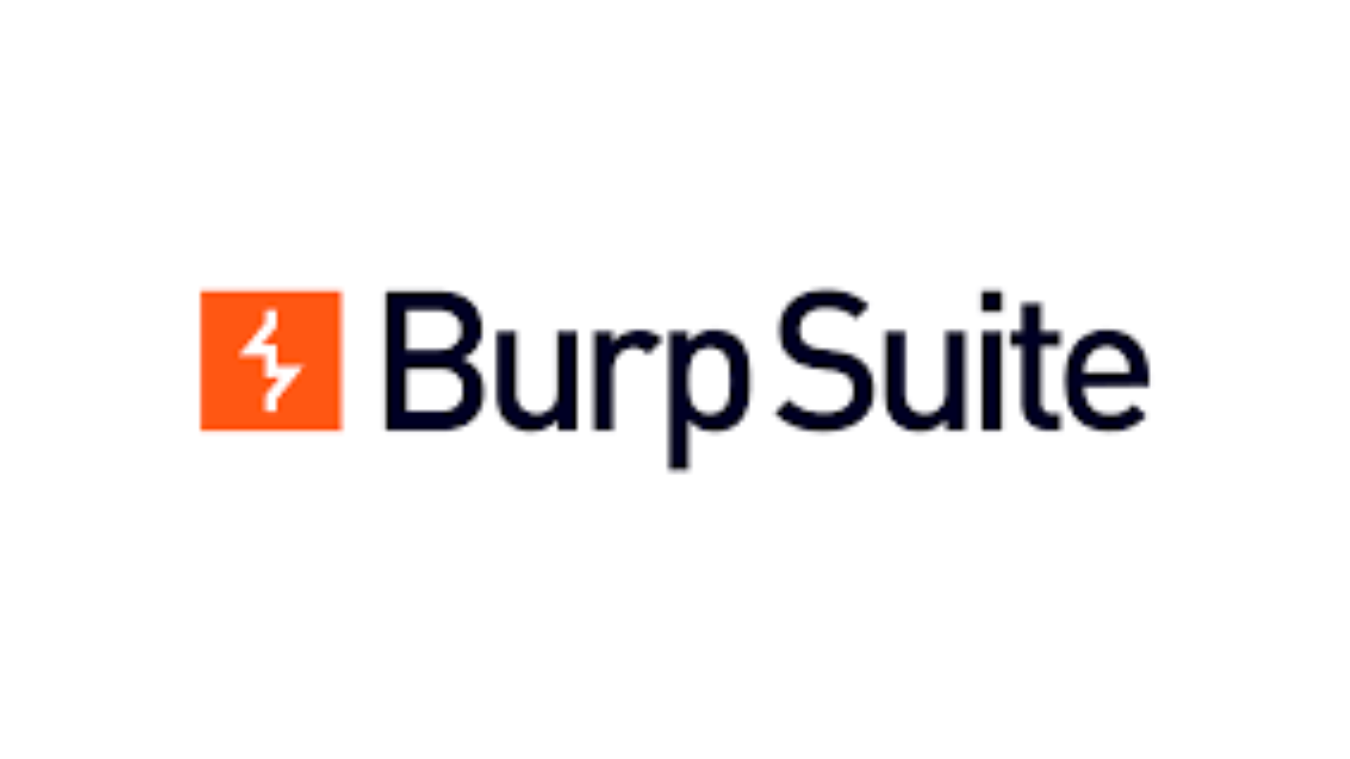 Burp Suite image