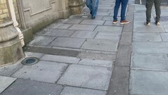 Mid Range Test Duck image