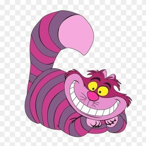 Devon Chessher profile image