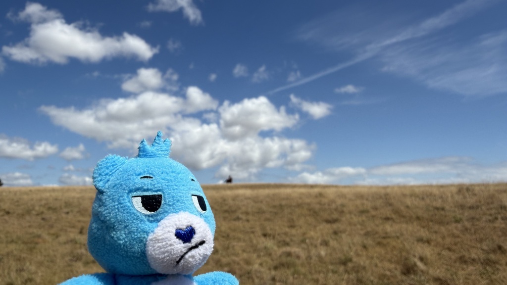 A selfie style photo of Grumps on a cloudy sunny blue skies, on a dry field and a person riding a horse. image