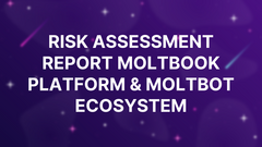 RISK ASSESSMENT REPORT Moltbook Platform &amp; Moltbot Ecosystem image