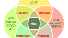 Ikigai image