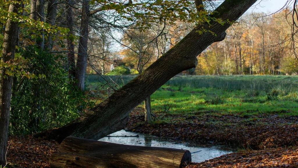 Responsible Use of AI to Gain Personal Efficiency image image