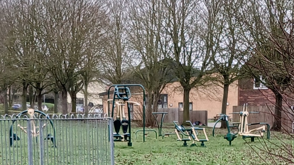 Picture of an outdoor gym in a field surrounded by trees image