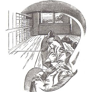 Mohsen Maghferati profile image