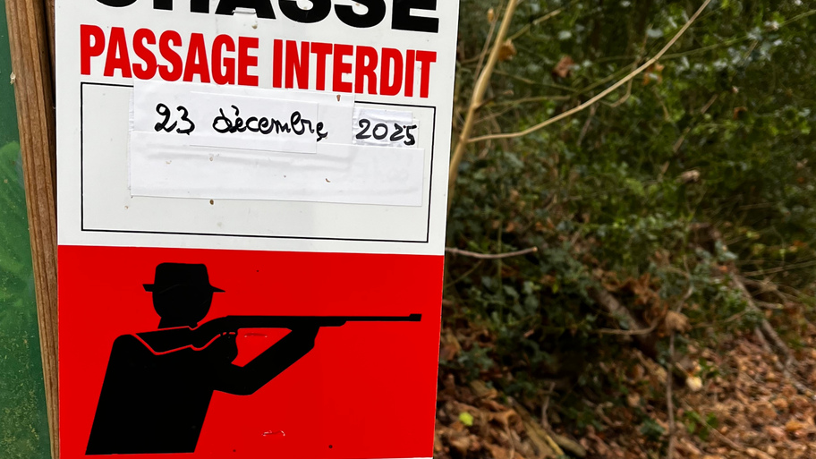 Why AI won't save your Flaky Tests image